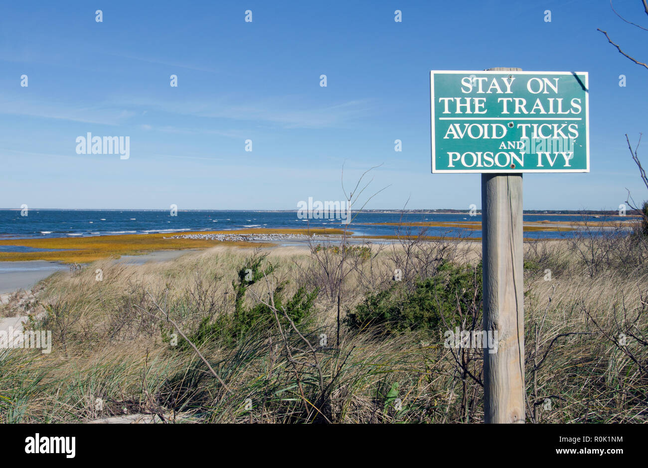 Zeichen auf der Spur zu bleiben und zu vermeiden, Zecken und Poison Ivy an Skaket Beach in Orleans, Cape Cod, Massachusetts, USA mit dem Ozean und einem klaren blauen Himmel Stockfoto
