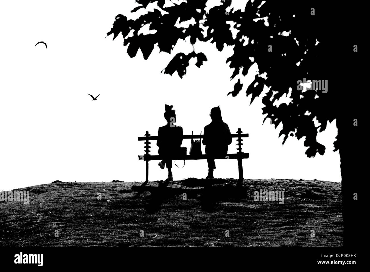 Zwei junge weibliche Freunde sprechen beim Sitzen auf einem isolierten Park Bank unter dem Baum im hohen cobtrast Schwarz und Weiß Stockfoto