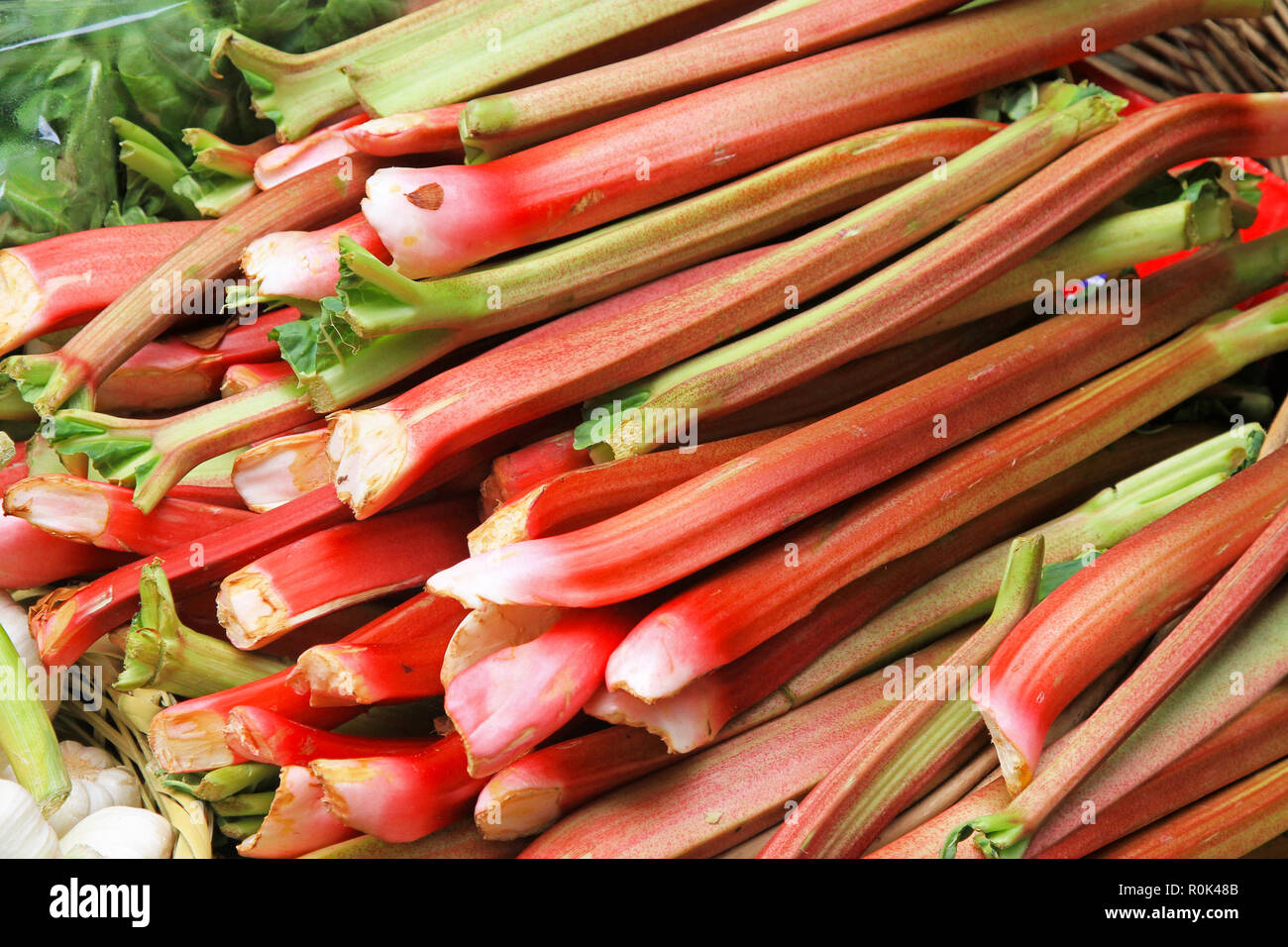 Haufen aus biologischem Anbau Rhabarber Gemüse Stockfoto