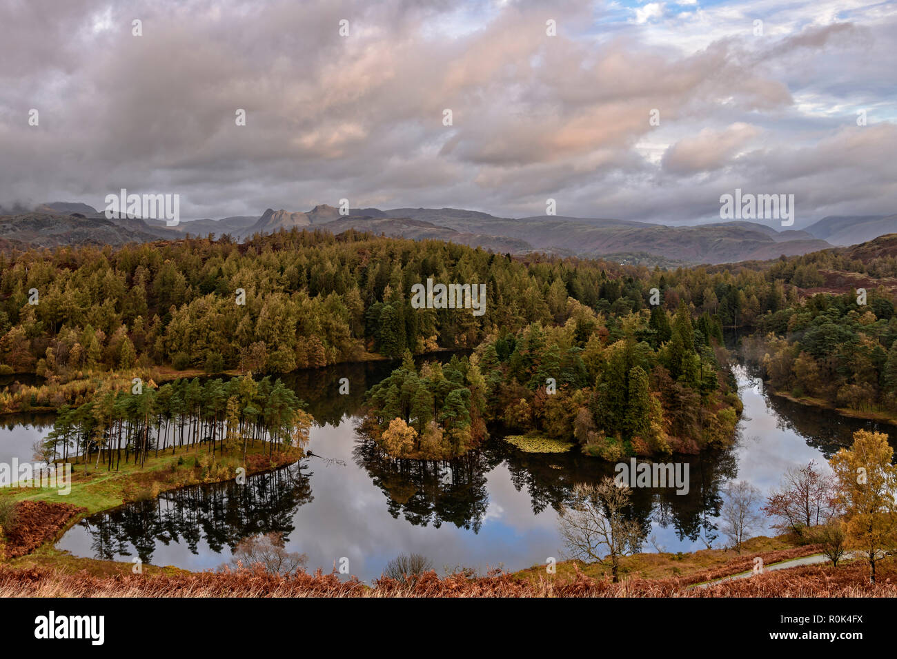Panoramablick am frühen Morgen herbst Blick über Tarn Hows mit den Langdale Pikes in der Ferne Stockfoto