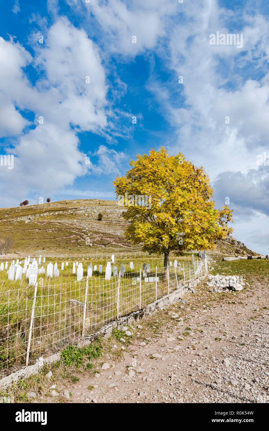 Die herbstlichen Baum im muslimischen Friedhof, Lukomir, Bosnien. Stockfoto