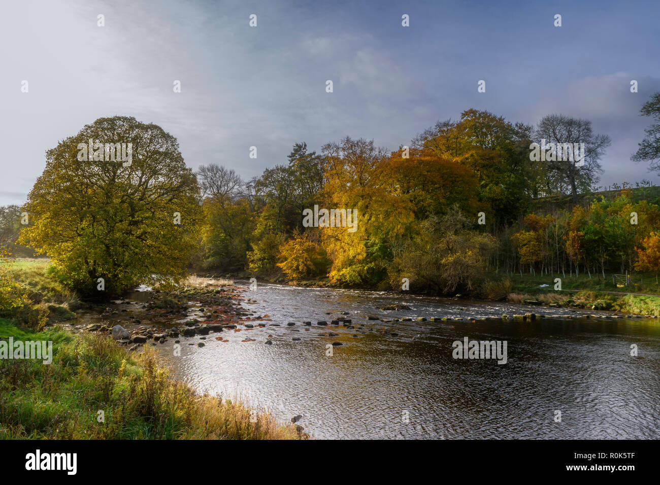 Trittsteine über den River Wharfe in der Nähe von Hebden in den Yorkshire Dales National Park im Herbst Stockfoto