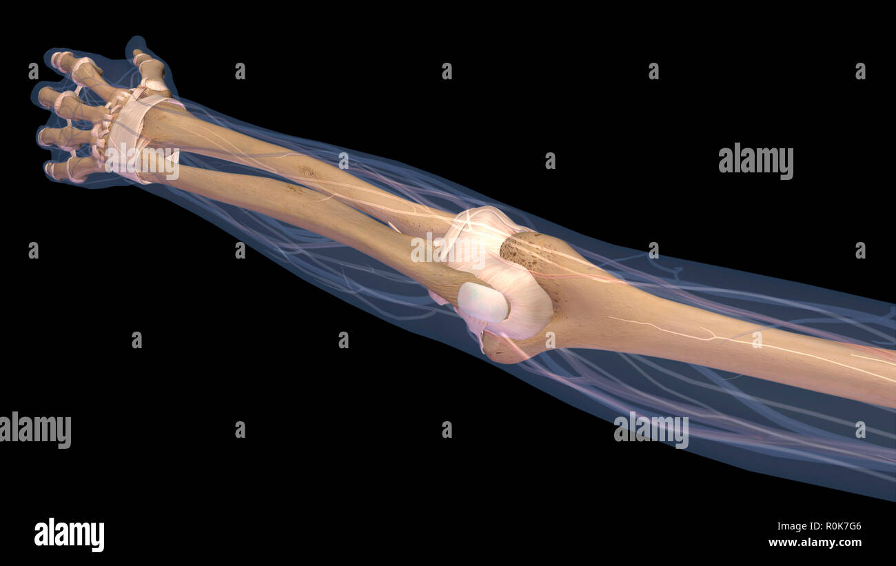 Arm Ellenbogengelenk und Knochen x-ray auf schwarzem Hintergrund. Stockfoto