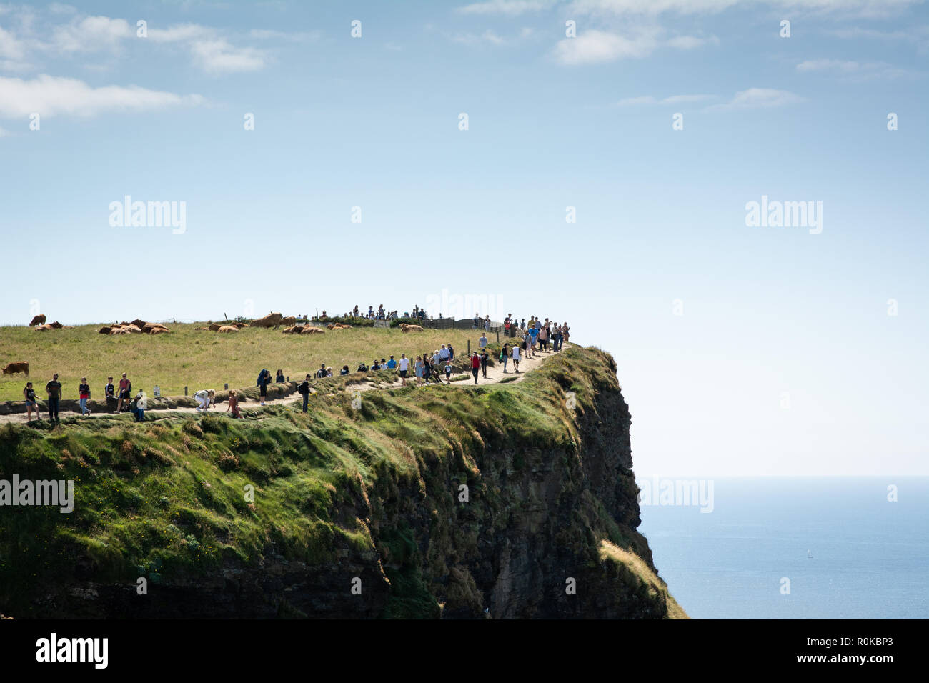 Viele Touristen gehen auf einen sonnigen Tag auf die Klippen von Moher, Irland Stockfoto