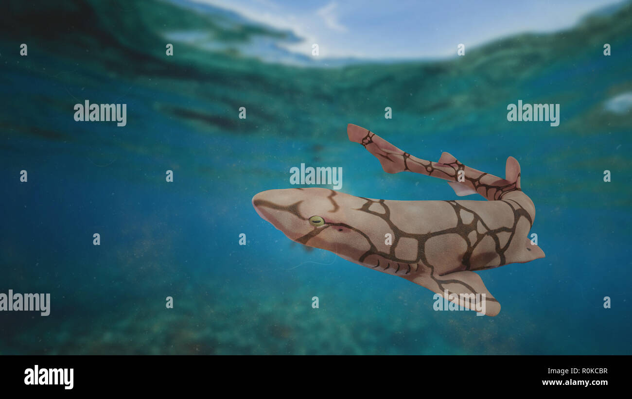 Kette catshark (Scyliorhinus retifer) kleine Haie im Atlantik. Stockfoto