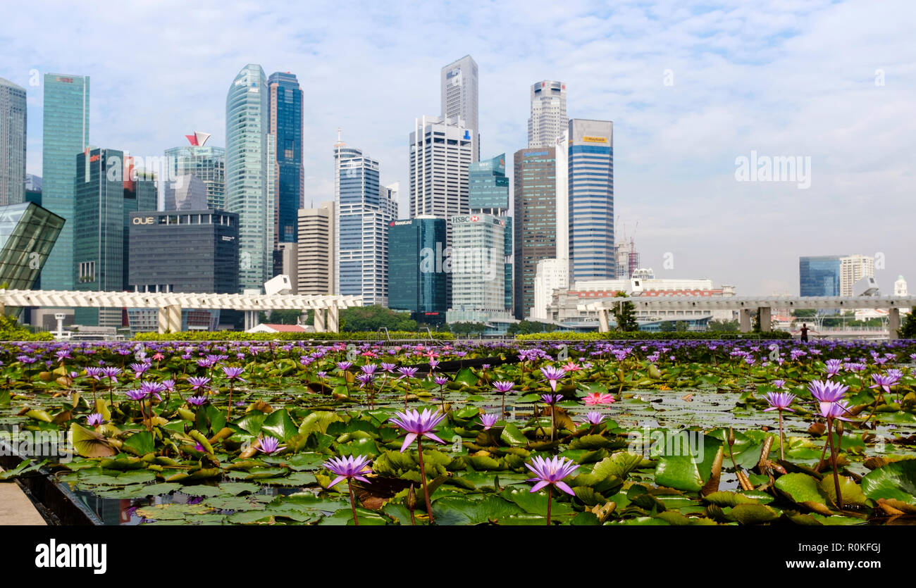Skyline von Singapur mit Wassergarten im Vordergrund tagsüber, 2018. September Stockfoto