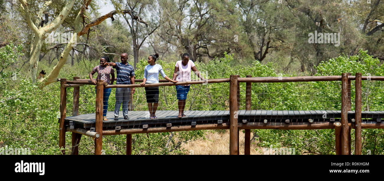 Touristische auf der Promenade in der Mapunguwe Nationalpark Stockfoto