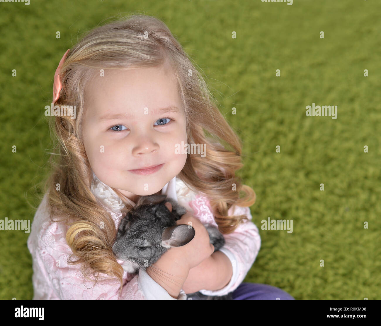 Porträt von einem niedlichen Mädchen spielen mit Chinchilla Stockfoto