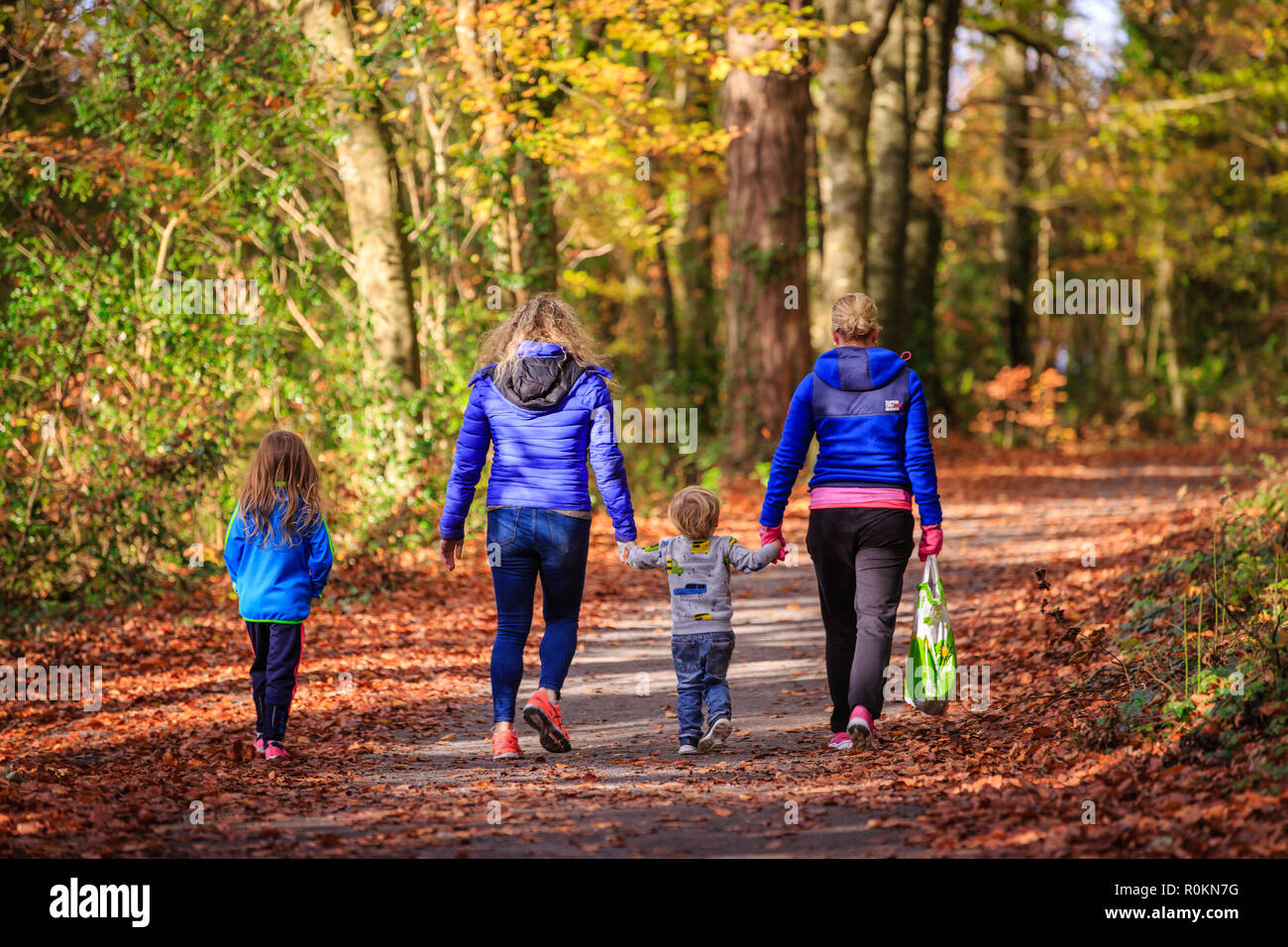 Familie genießen Sie einen Spaziergang durch den Wald in einem schönen Herbst Herbstfarben im Belvedere House Gardens & Park in Mullingar, Irland. Stockfoto
