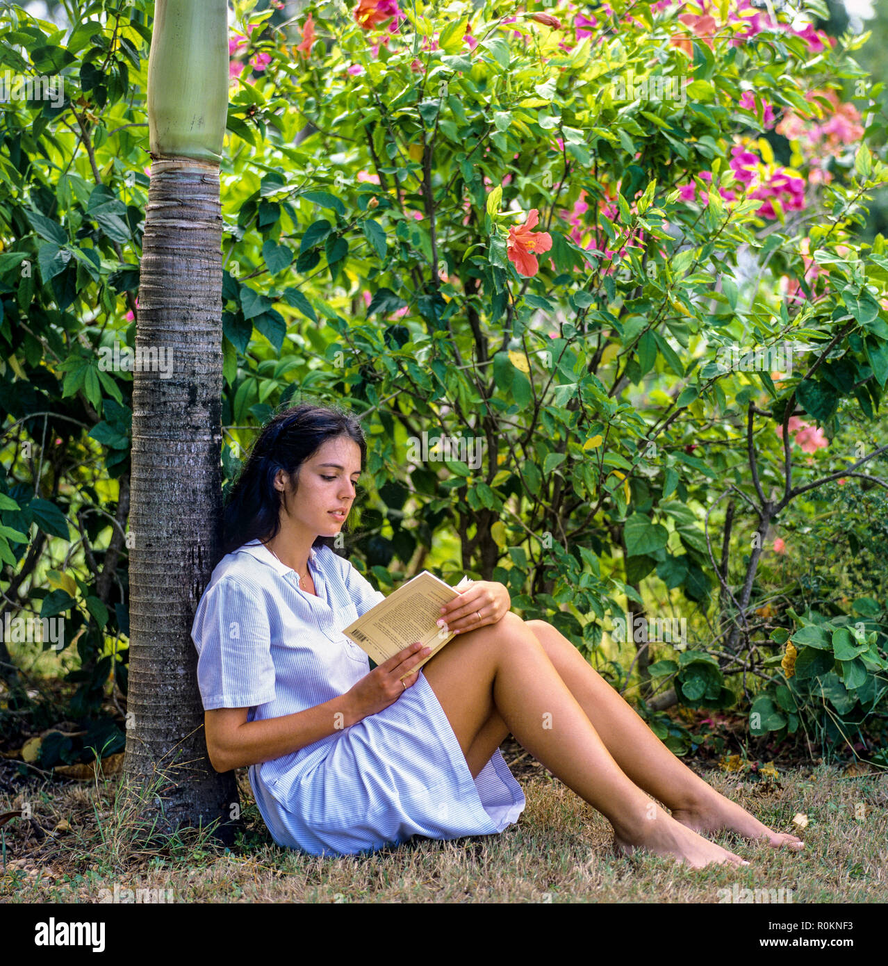 Junge Frau im tropischen Garten zu sitzen und ein Buch lesen, Guadeloupe, Französisch Westindien, Stockfoto