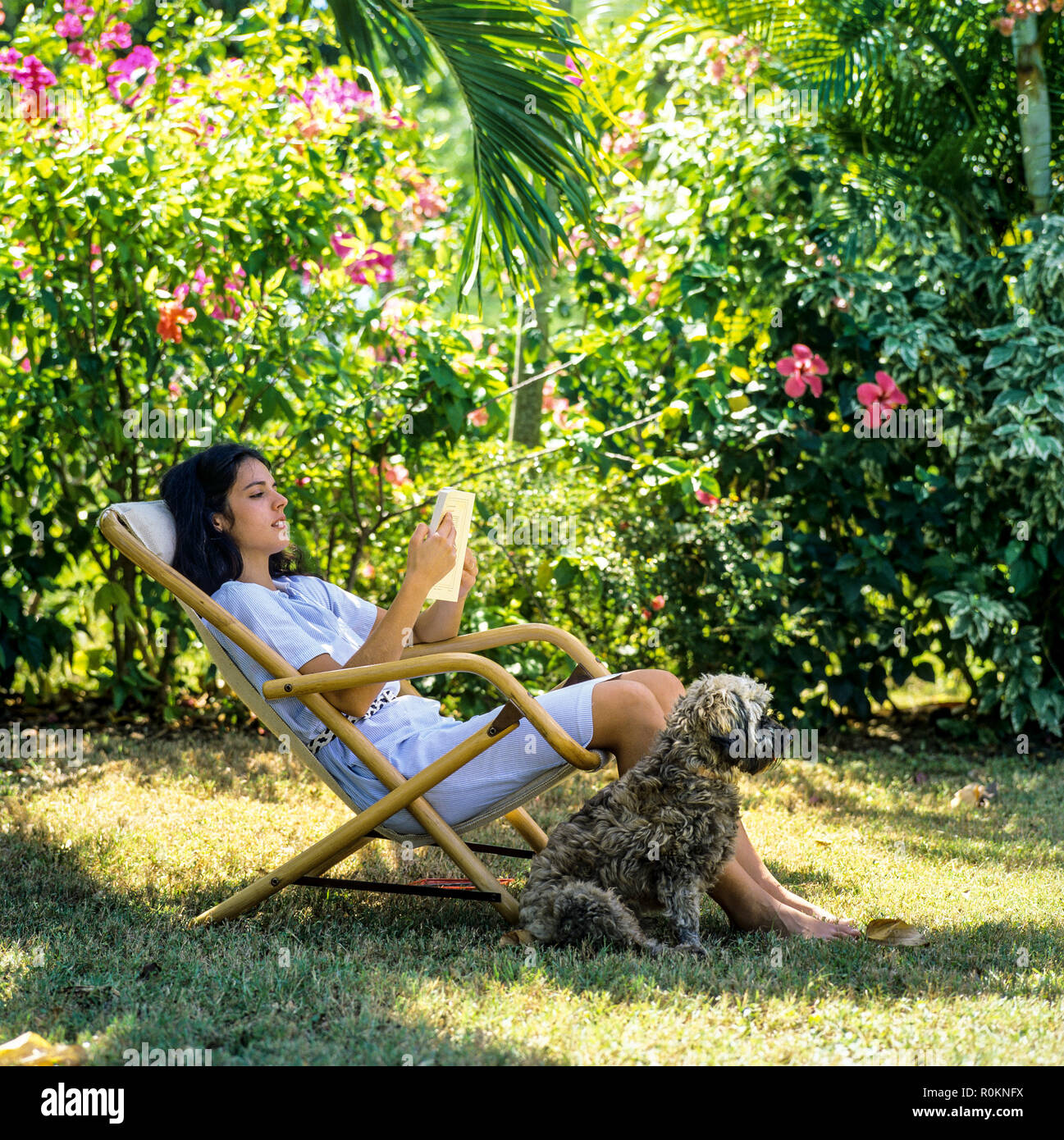 Junge Frau im Liegestuhl sitzen und ein Buch lesen, Hund, tropischen Garten, Guadeloupe, Französisch Westindien, Stockfoto
