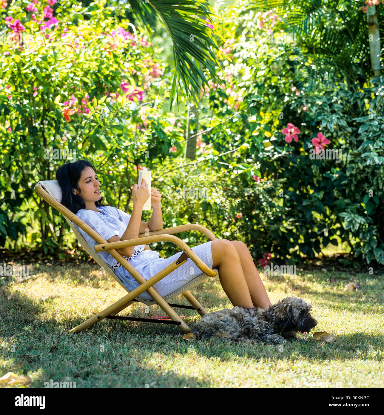 Junge Frau im Liegestuhl sitzen und ein Buch lesen, Hund, tropischen Garten, Guadeloupe, Französisch Westindien, Stockfoto