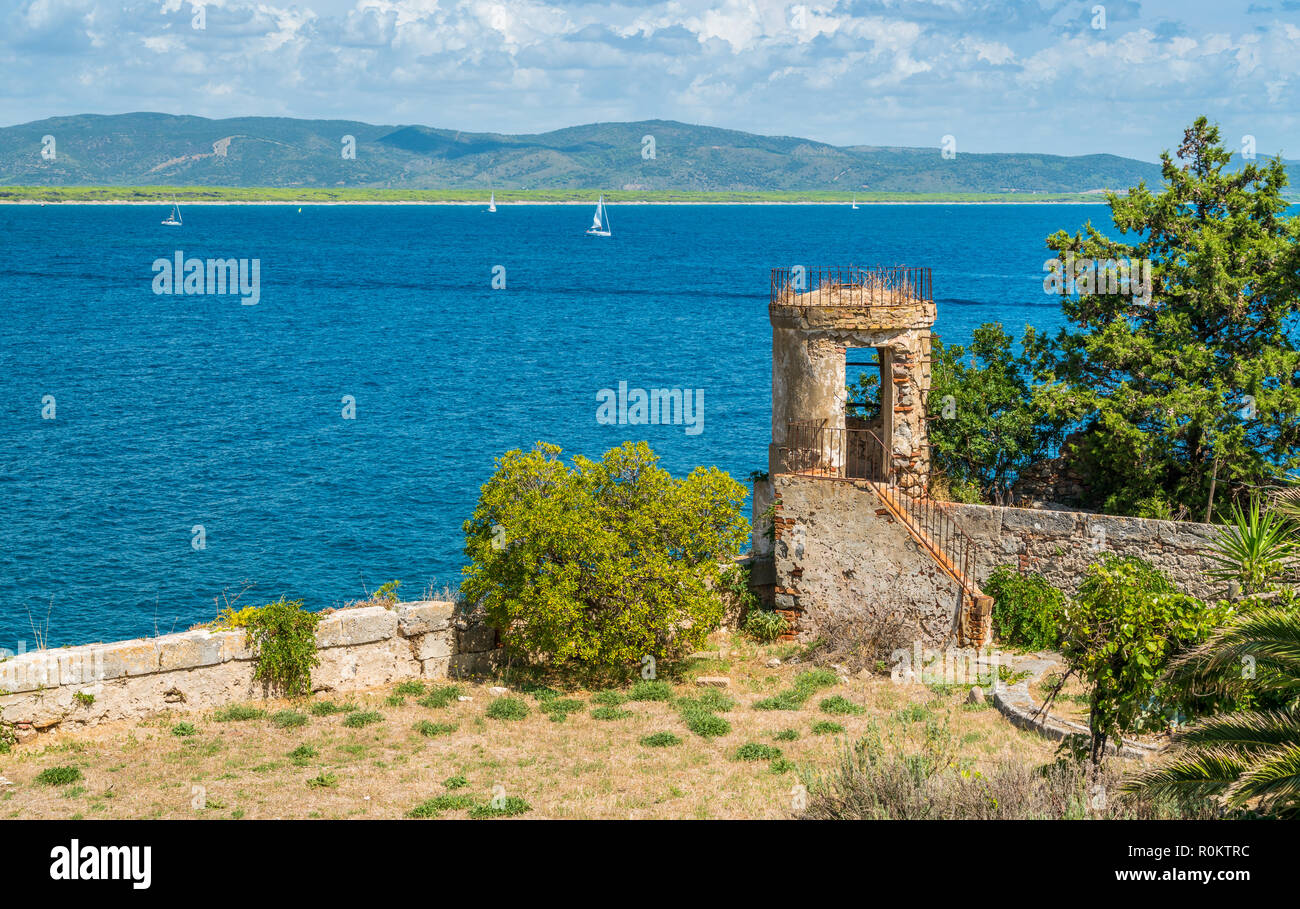 Einen sonnigen Sommer Landschaft in der Nähe von Porto Ercole, in Monte Argentario, in der Region Toskana in Italien. Stockfoto