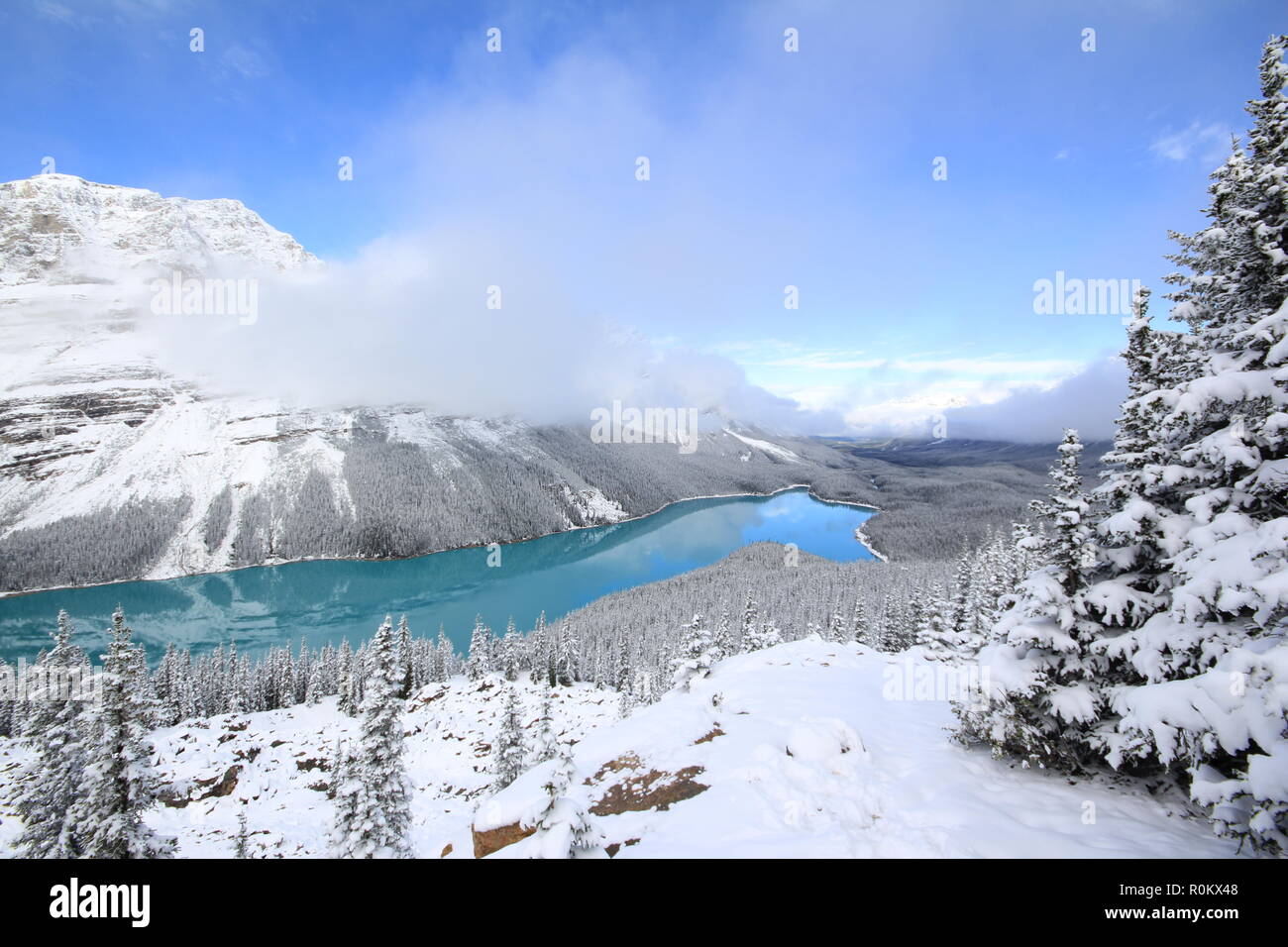 Spektakuläre winter Szene am Peyto Lake im Banff National Park, Kanada, mit Bergen und Bäumen von Schnee bedeckt. Bild der beliebteste Tour Attraktion. Stockfoto