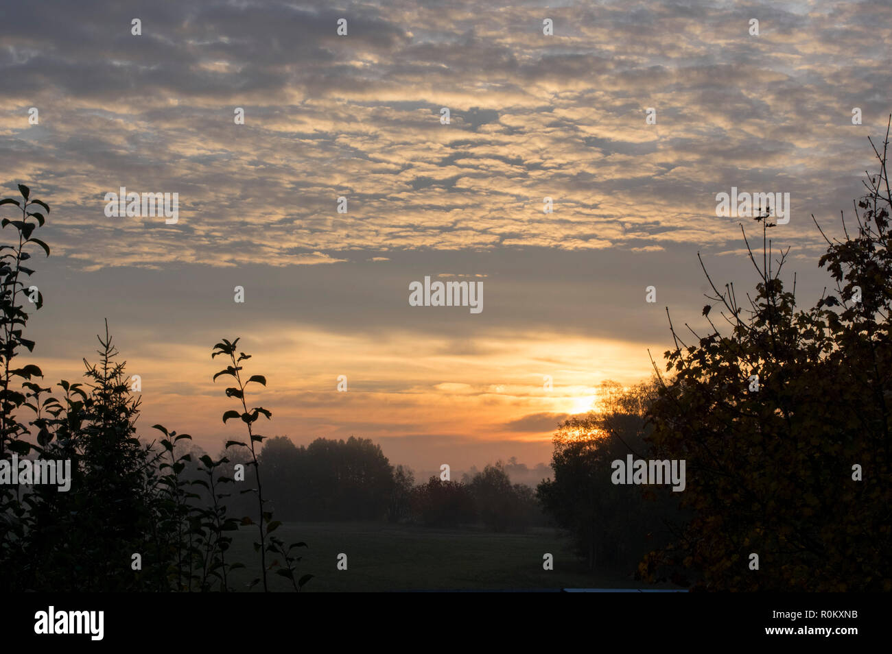 Sonnenaufgang über der Baumgrenze siluette Stockfoto