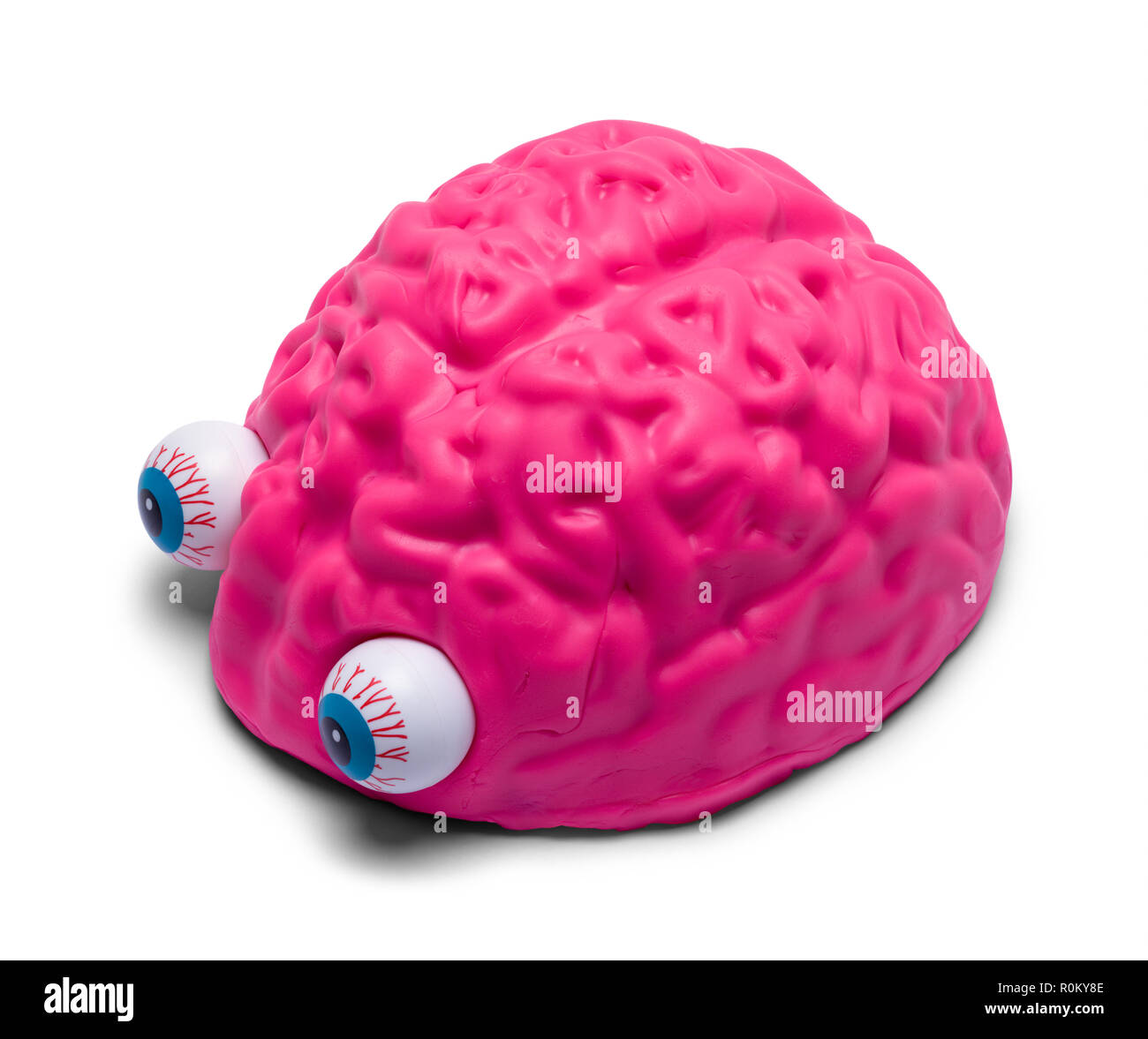 Rosa menschlichen Gehirn mit Augäpfel isoliert auf weißem Hintergrund. Stockfoto