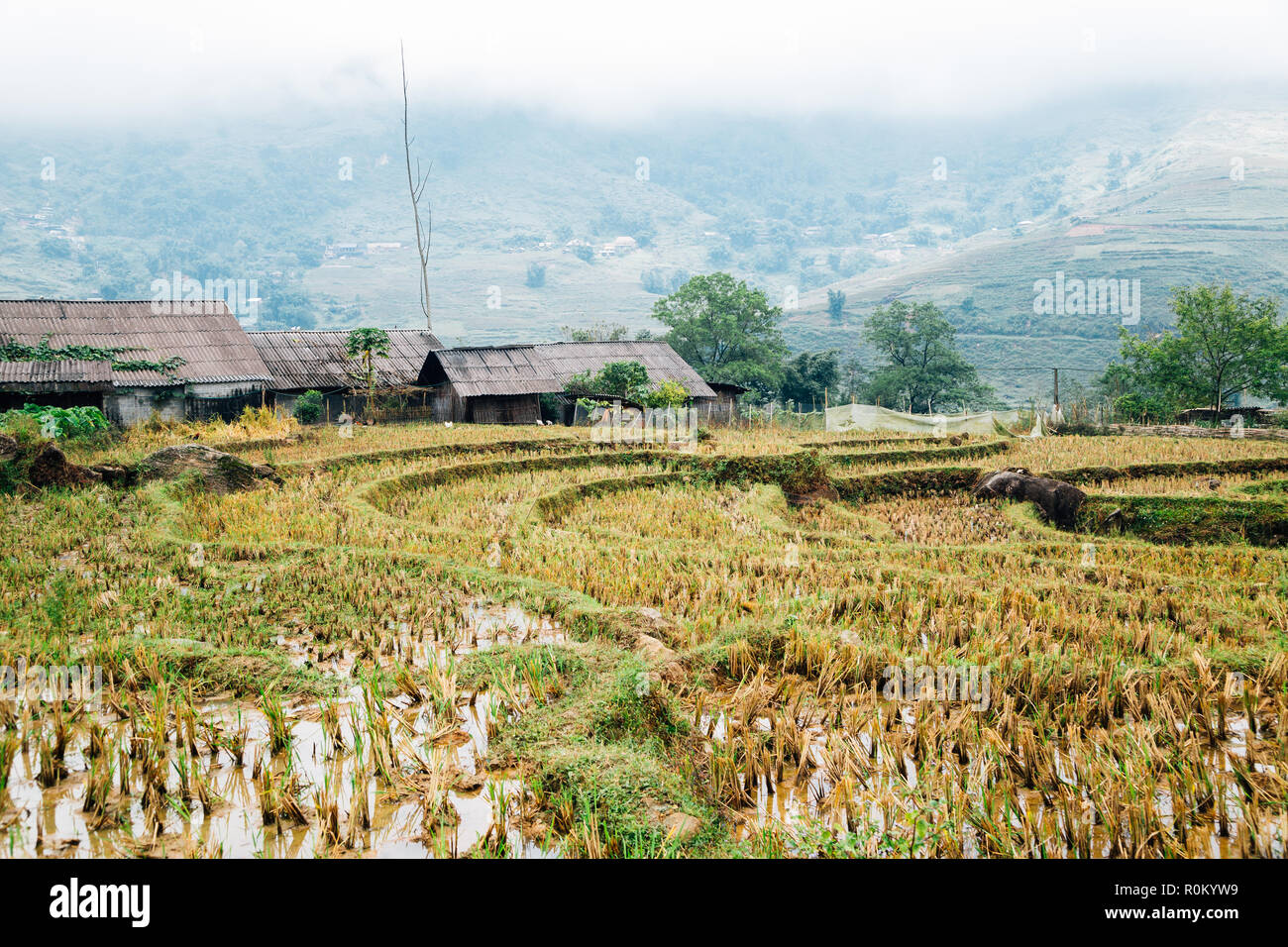 Terrassierten Reisfelder und traditionellen Haus in Lao Chai, Sapa, Vietnam Stockfoto