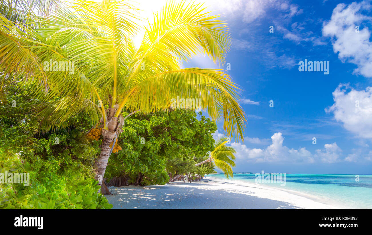 Malediven Paradise Beach Perfekte Tropische Insel Schone Palmen Und Tropischen Strand Moody Blue Sky Und Die Blaue Lagune Luxus Reisen Sommerurlaub Stockfotografie Alamy