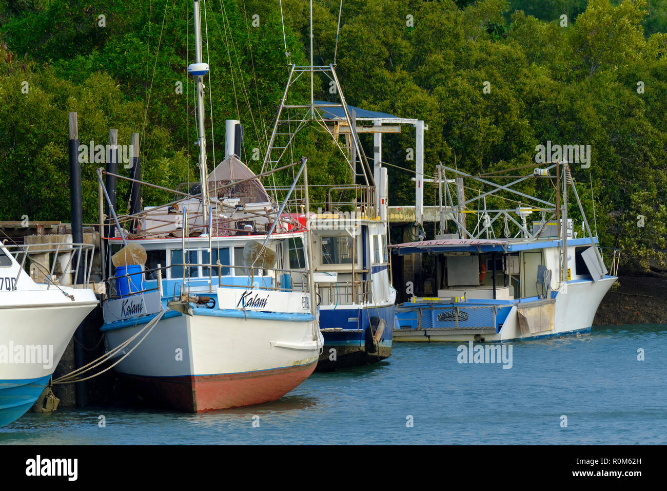 Angelegte Boote in Yeppoon Stockfoto