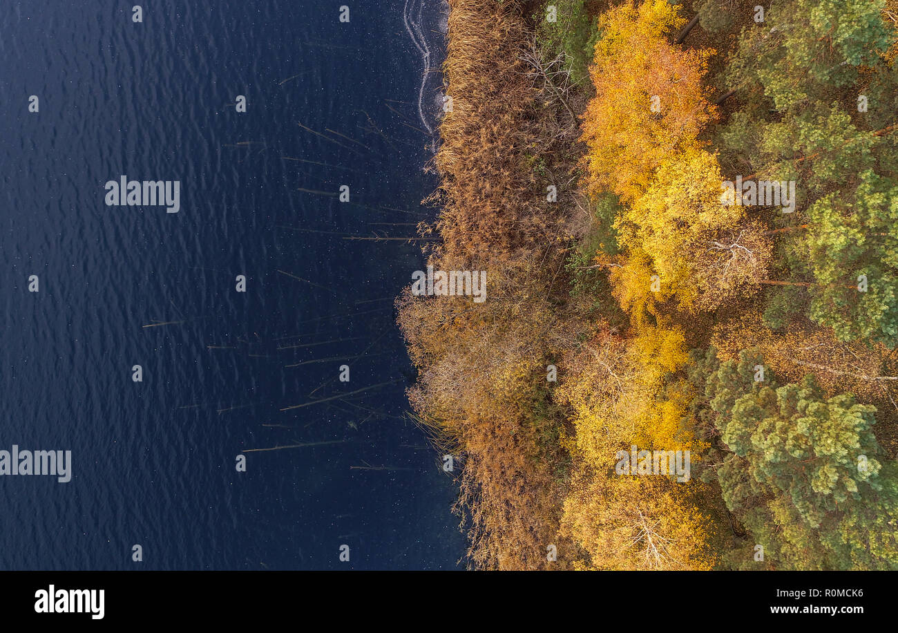 06. November 2018, Brandenburg, Frankfurt (Oder): Im Licht des Sonnenaufgangs, Herbst - farbige Birken/ am Ufer des Sees von Helene (Luftbild mit einer Drohne). Helene See, einem der beliebtesten Baden in Brandenburger Seen, wurde aus einer offenen erstellt aus Braunkohle Bergwerk, in dem Kohle zwischen 1930 und 1959 abgebaut wurde. Grundwasser Erstellt eine Wasserfläche von 250 Hektar. Foto: Patrick Pleul/dpa-Zentralbild/ZB Stockfoto