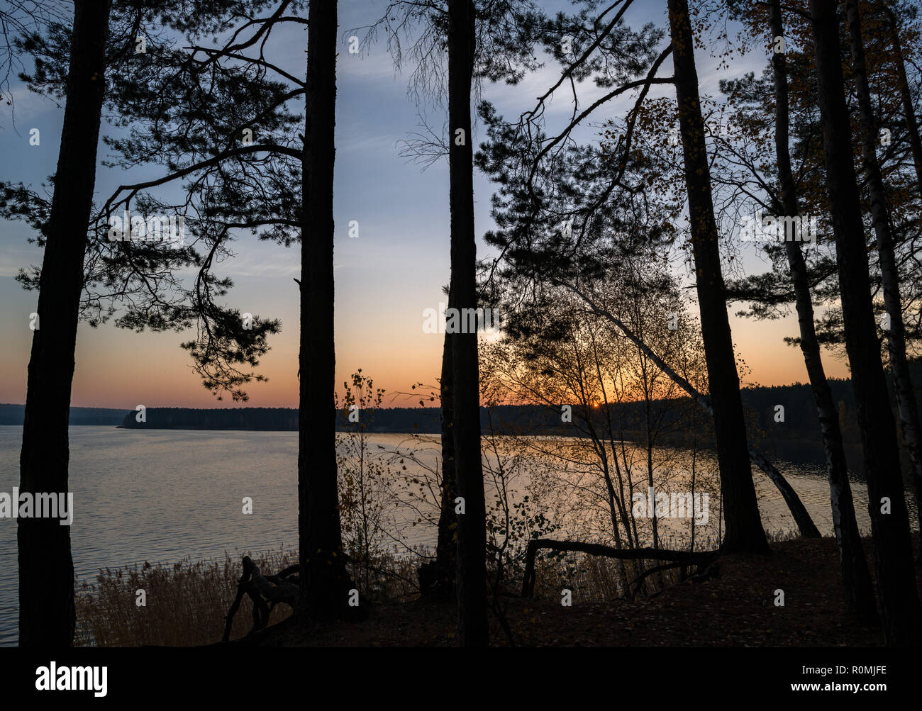 06. November 2018, Brandenburg, Frankfurt (Oder): Sonnenaufgang am Ufer des Sees von Helena. Helene See, einem der beliebtesten Baden in Brandenburger Seen, wurde aus einer offenen erstellt aus Braunkohle Bergwerk, in dem Kohle zwischen 1930 und 1959 abgebaut wurde. Grundwasser Erstellt eine Wasserfläche von 250 Hektar. Foto: Patrick Pleul/dpa-Zentralbild/ZB Stockfoto