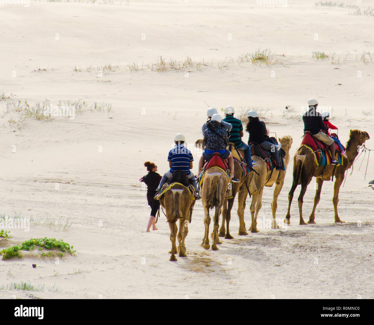 Touristische erleben Sie den Nervenkitzel und Abenteuer auf einem Kamel reiten durch karge Sand Dünen. Stockfoto