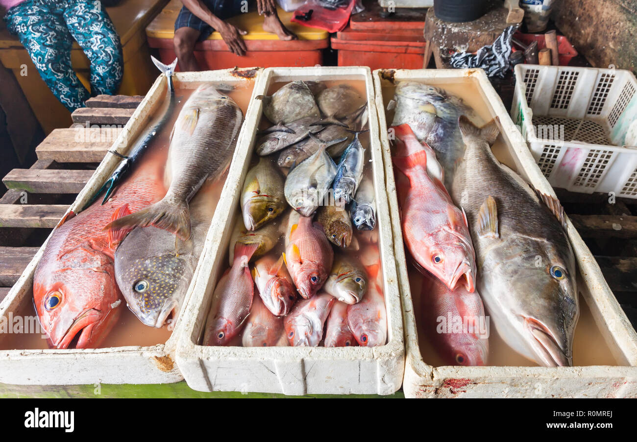 Fisch und Meeresfrüchte in Jimbaran Beach, Bali, Indonesien verkaufen Stockfoto