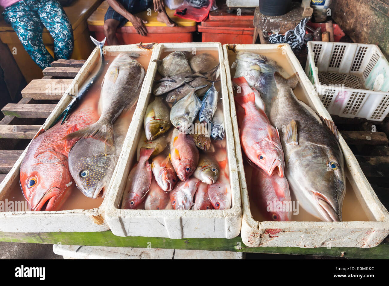 Frische Meeresfrüchte am Fischmarkt tropischen Strand Bali, Indonesien Stockfoto