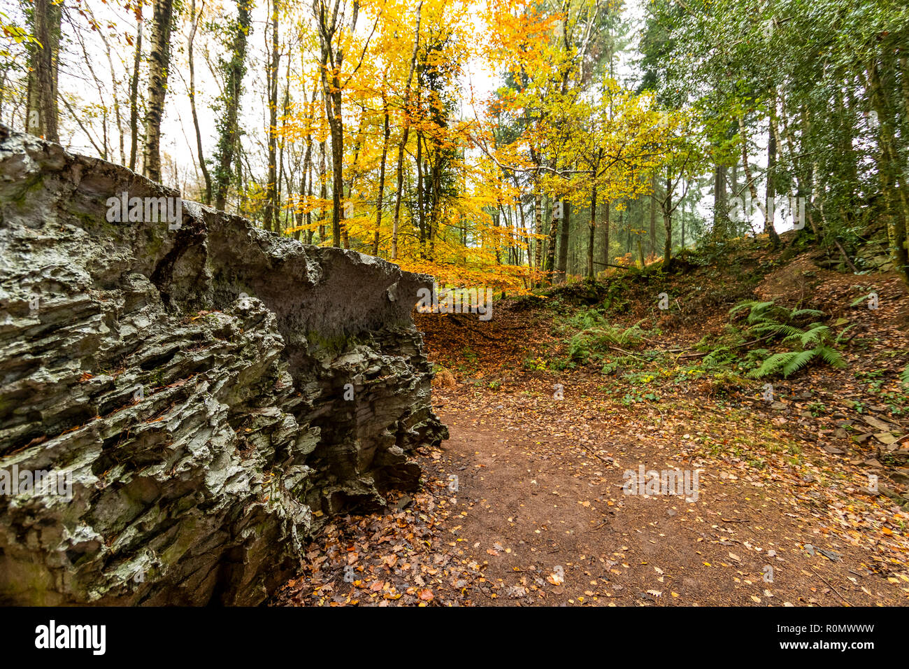 Echo - von Annie Cattrell. Eine der Arbeiten der Skulptur für Wald von Dean Skulpturenweg, Gloucestershire. UK. Stockfoto