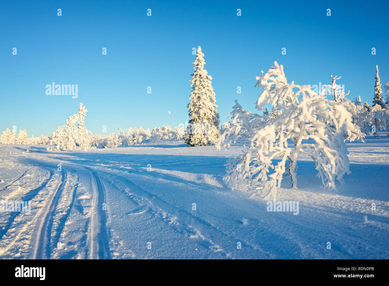 Verschneite Landschaft, gefrorene Bäume im Winter in Saariselka, Lappland, Finnland Stockfoto