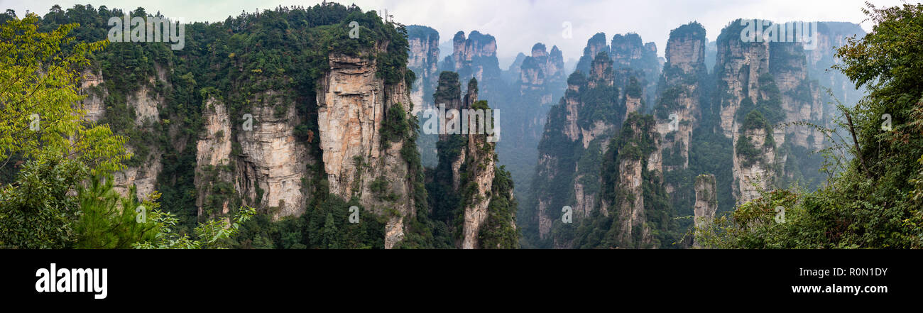 Die Gipfel von Zhangjiajie National Forest, die szenografie von Avatar Hallelujiah Bergen inspiriert Stockfoto