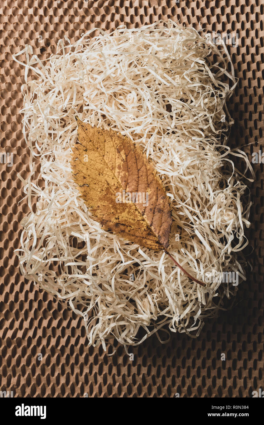 Eine einzelne Herbst Blatt auf einem Bett aus geschredderten Verpackungsmaterial aus Holz. Stockfoto