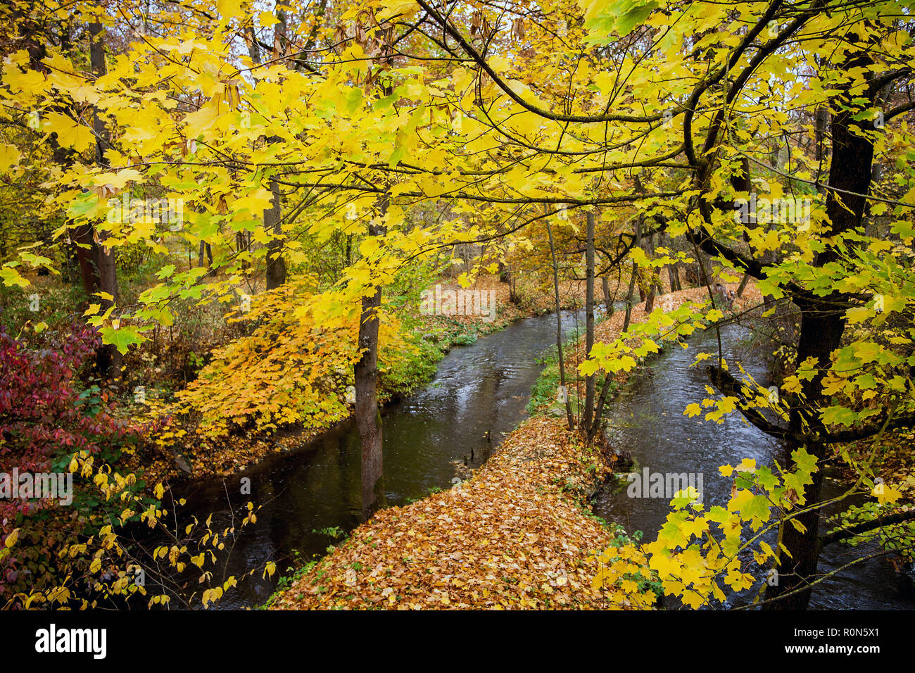 Herbst im Schlosspark von Meiningen Thüringen Deutschland Stockfoto