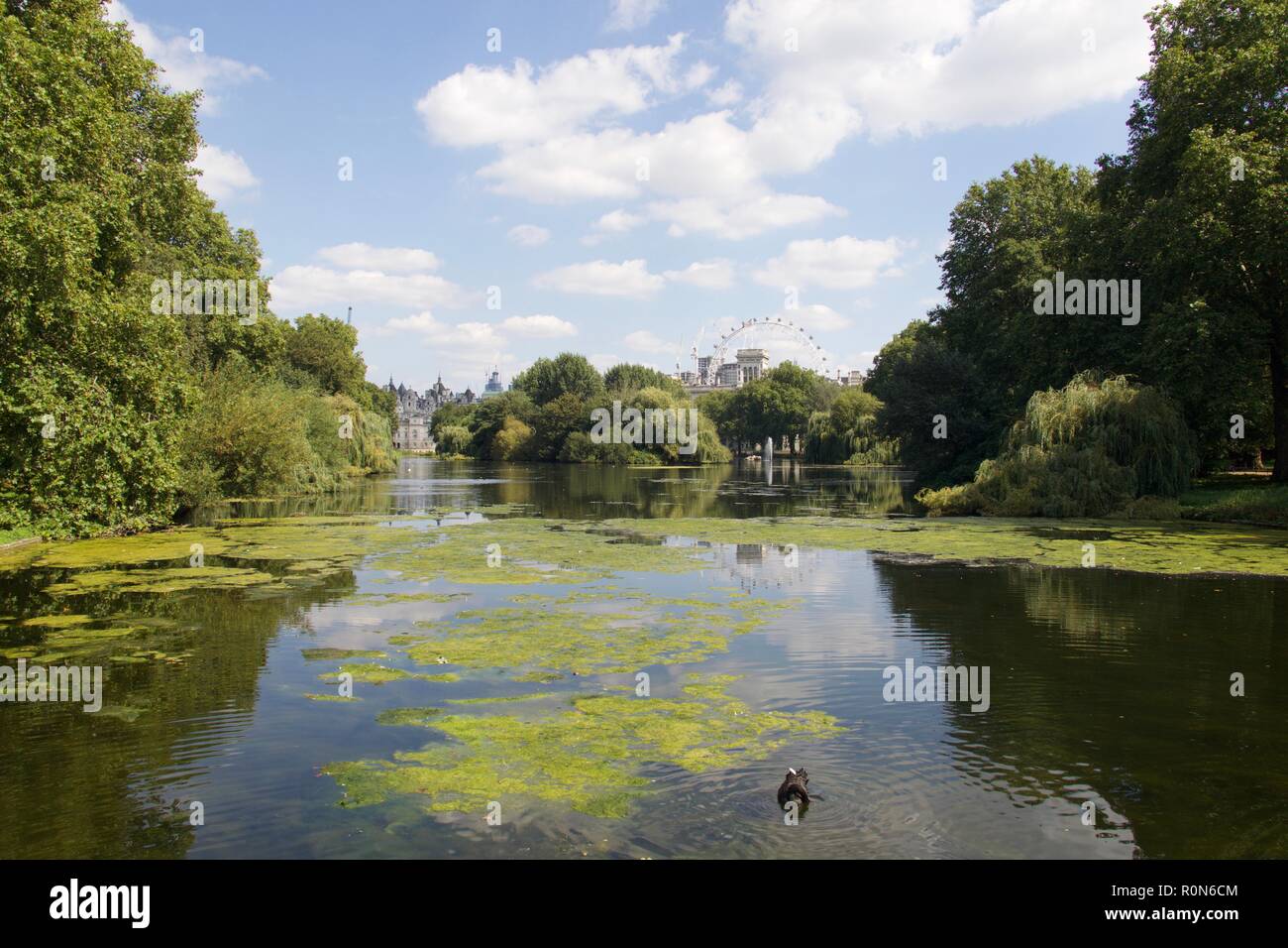 St James Park in London Stockfoto
