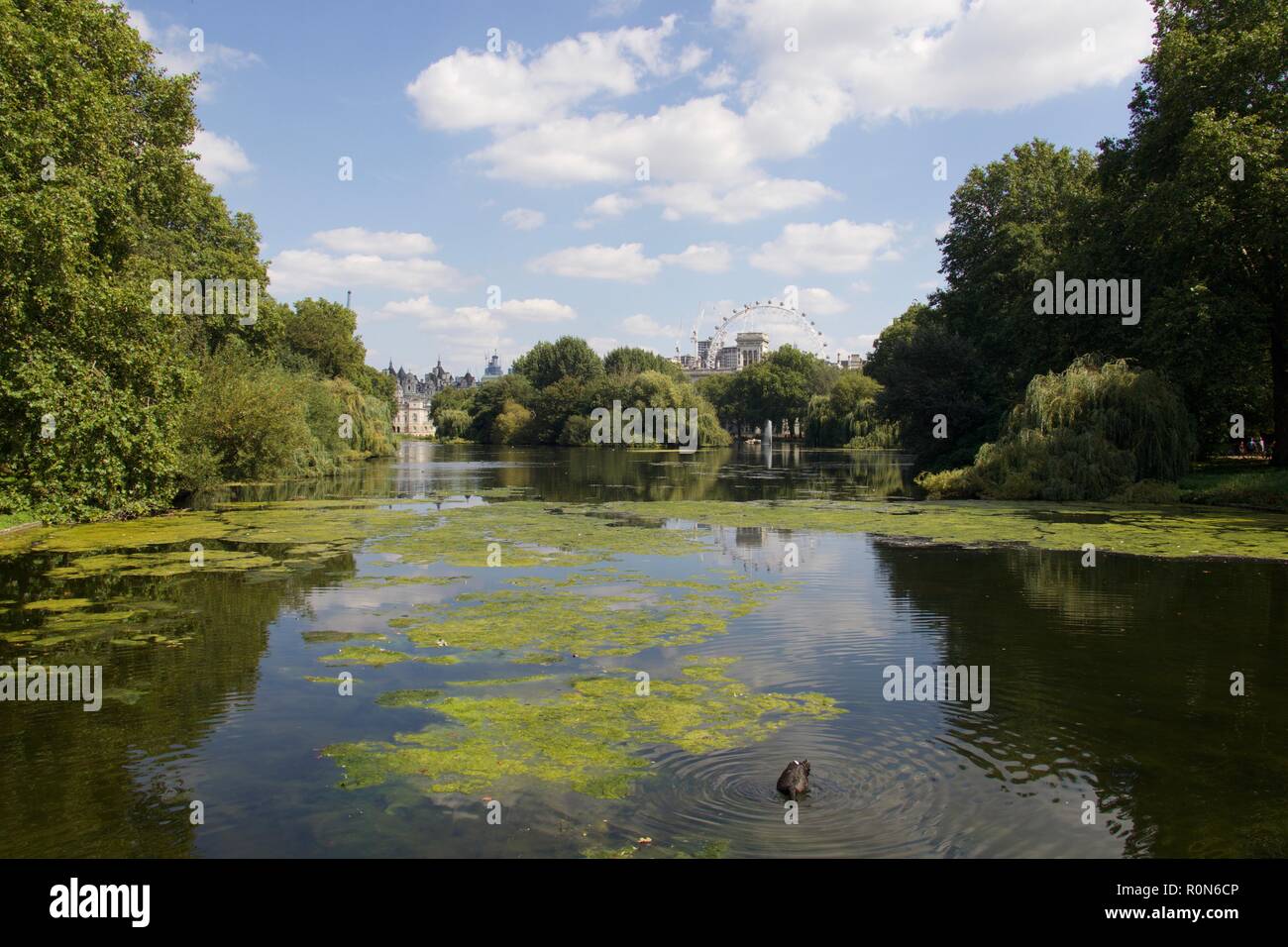 St James Park in London Stockfoto