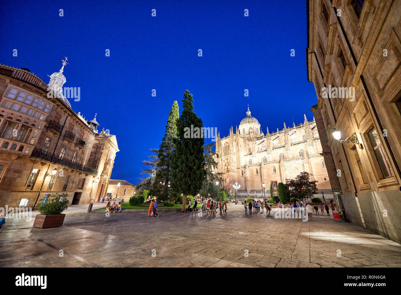 Neue Kathedrale von Salamanca, Salamanca, Spanien, Europa Stockfoto