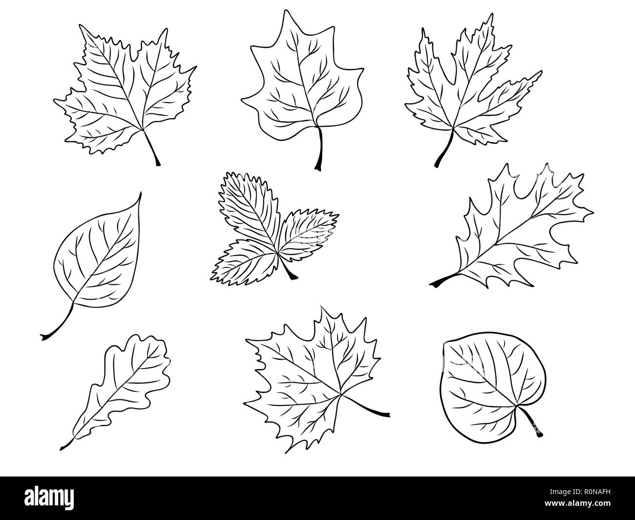 Der Baum Blätter Silhouette, Symbol, Logo, Herbst Poster, Vector Illustration. EPS8 Stock Vektor