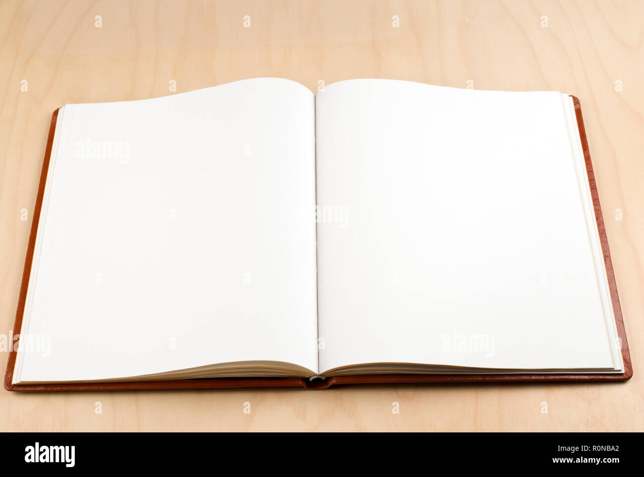 Ein offenes Buch mit leeren weißen Seiten. Selektive konzentrieren. Stockfoto