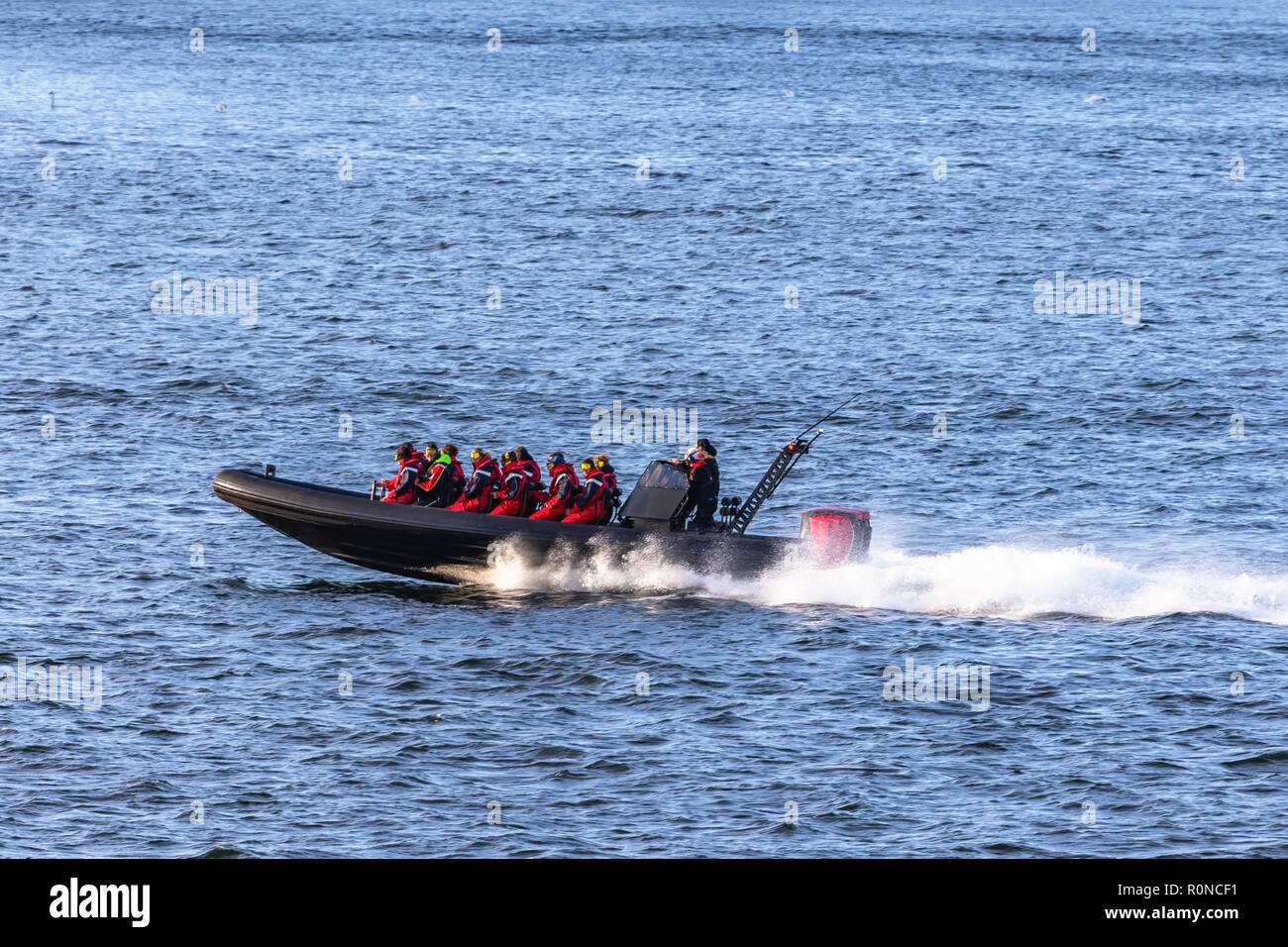 Touristen im Schnellboot sightseeing Inseln rund um Stockholm. Schweden. Stockfoto