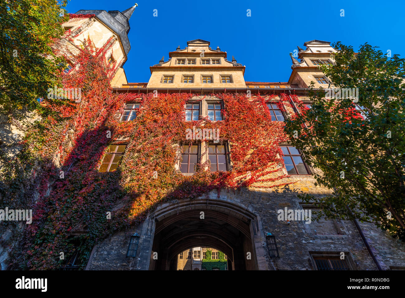 Schloss Merseburg, Froschperspektive, Herbstlaub, Oktober, Sachsen-Anhalt, Deutschland Stockfoto