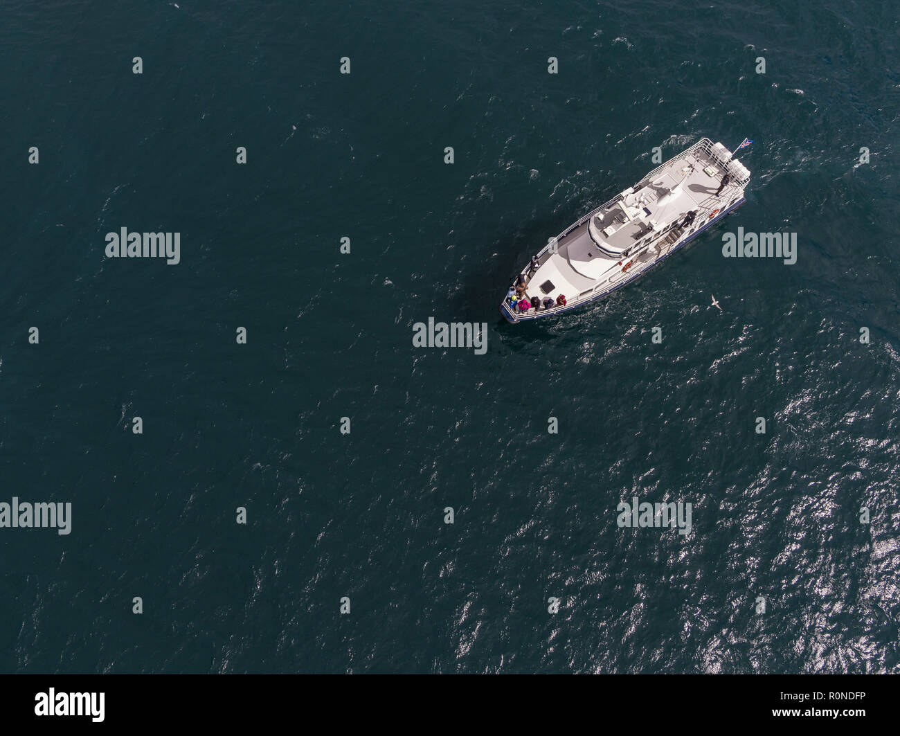 Whale Watching Boot, Hjalteyri, Eyjafjordur, Northern Island Stockfoto