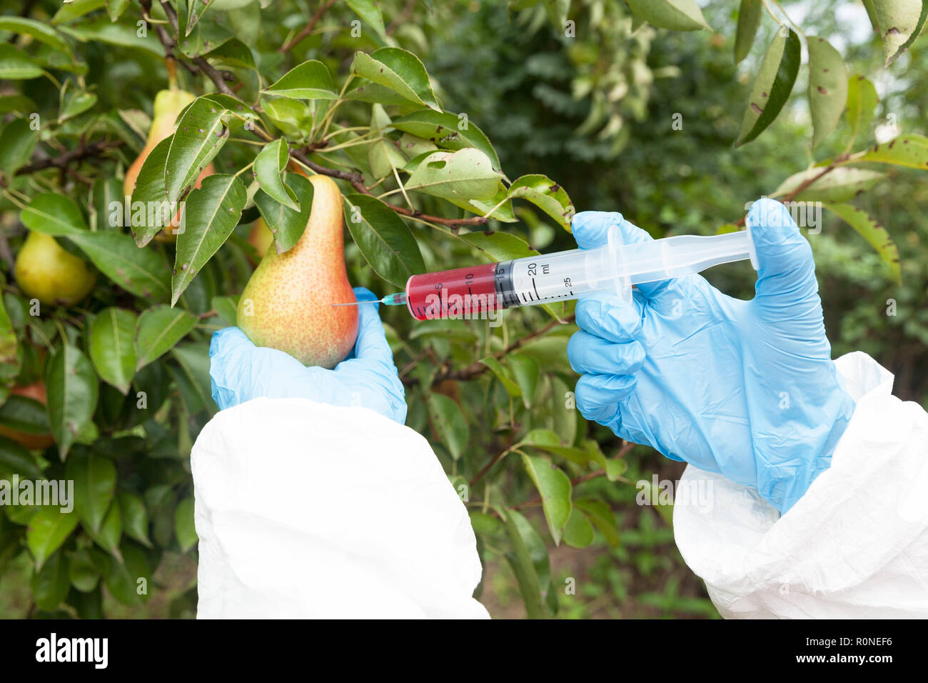 Früchte gefärbt mit künstlichen Farbe. Gentechnisch veraenderte Lebensmittel. Stockfoto