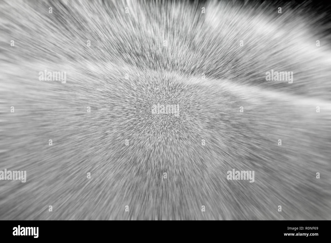Sprinkleranlage, die mit frischem grünem Gras. zoom Effekt Filter Stockfoto
