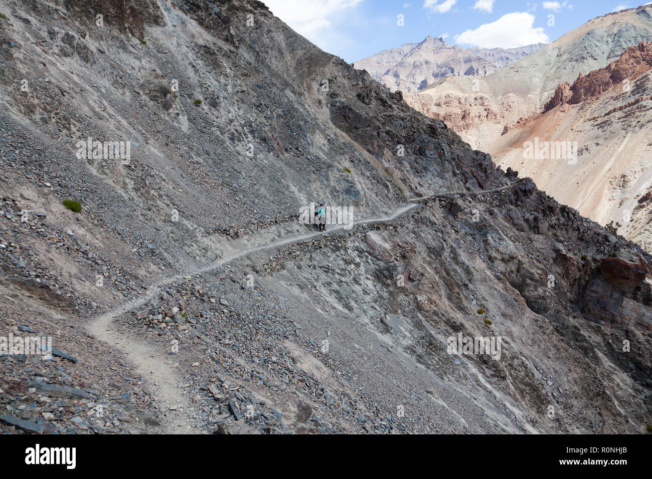 Einsame weibliche Wanderer auf dem Weg zwischen Cha (auch als Char bekannt) und Phugtal Gompa, Zanskar, Jammu und Kaschmir, Indien Stockfoto