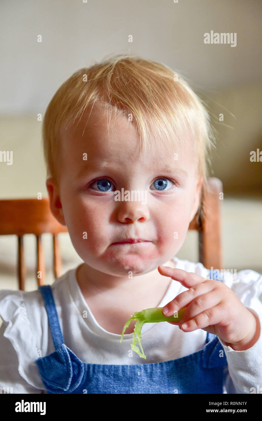 Junge Baby Kleinkind Mädchen im Alter von 2 Jahren essen Gurke gesunder Ernährung Foto aufgenommen von Simon Dack Stockfoto