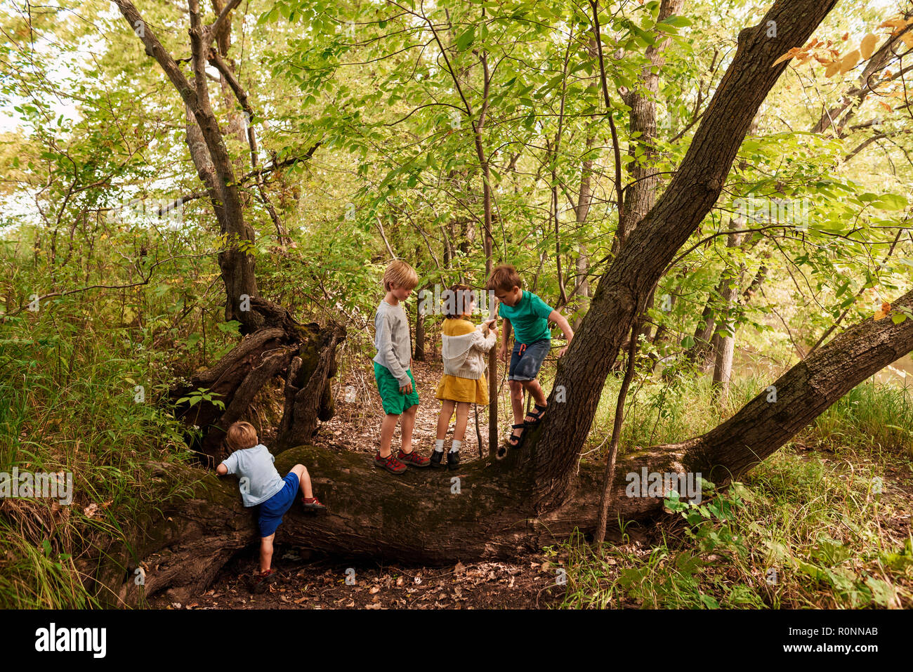 Vier Kinder spielen im Wald, in den Vereinigten Staaten Stockfoto