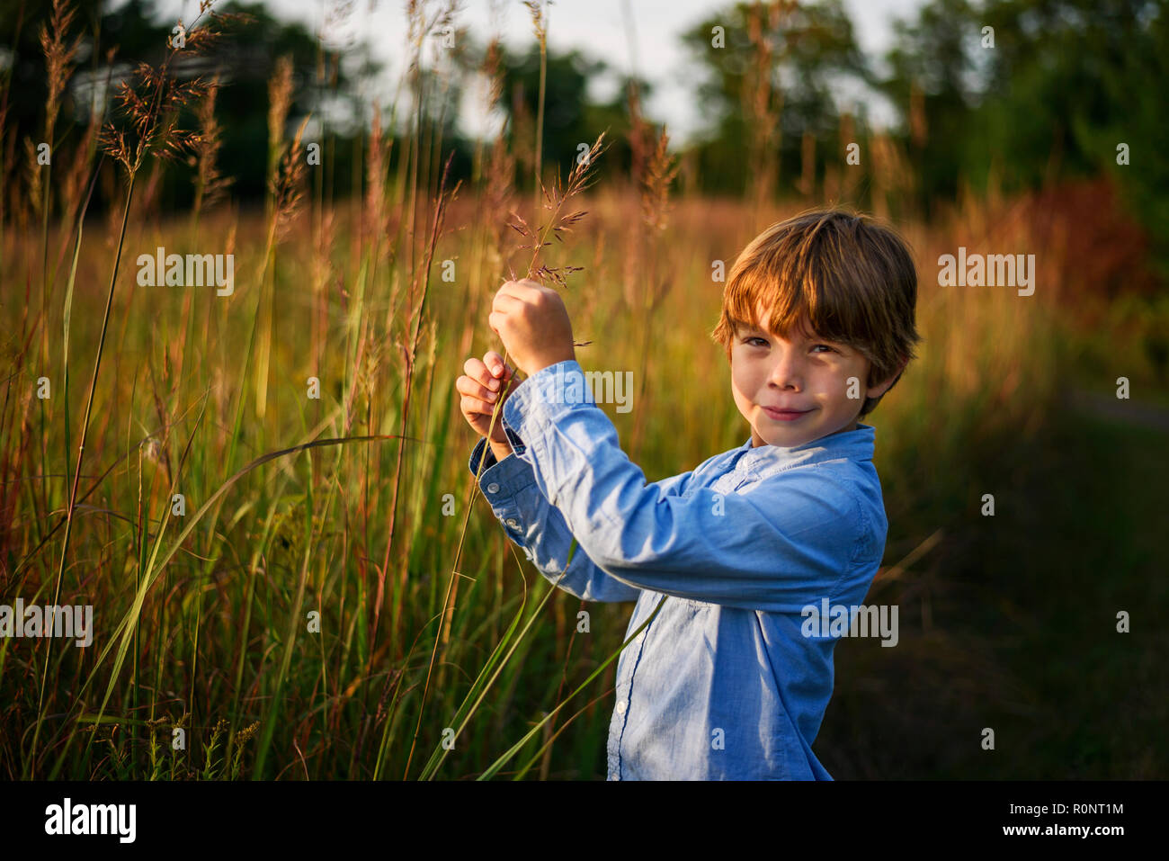 Porträt eines lächelnden Jungen stehen in einem Feld bei Sonnenuntergang Kommissionierung lange Gras, United States Stockfoto