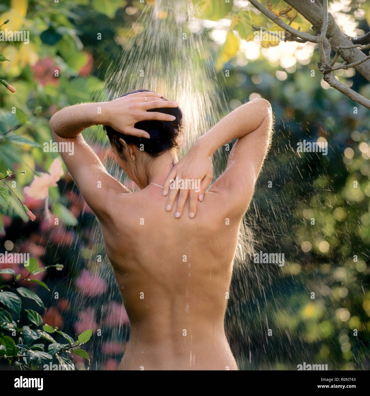 Rückansicht der jungen Frau eines Outdoor im tropischen Garten, Guadeloupe, Französisch Westindien, Stockfoto