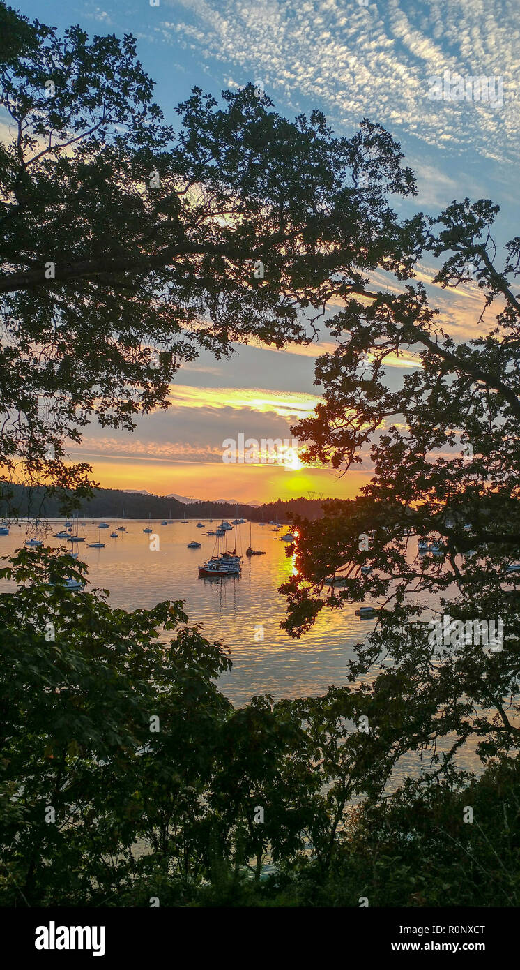 Hafen Sonnenuntergang, Galiano Island, British Columbia, Kanada Stockfoto