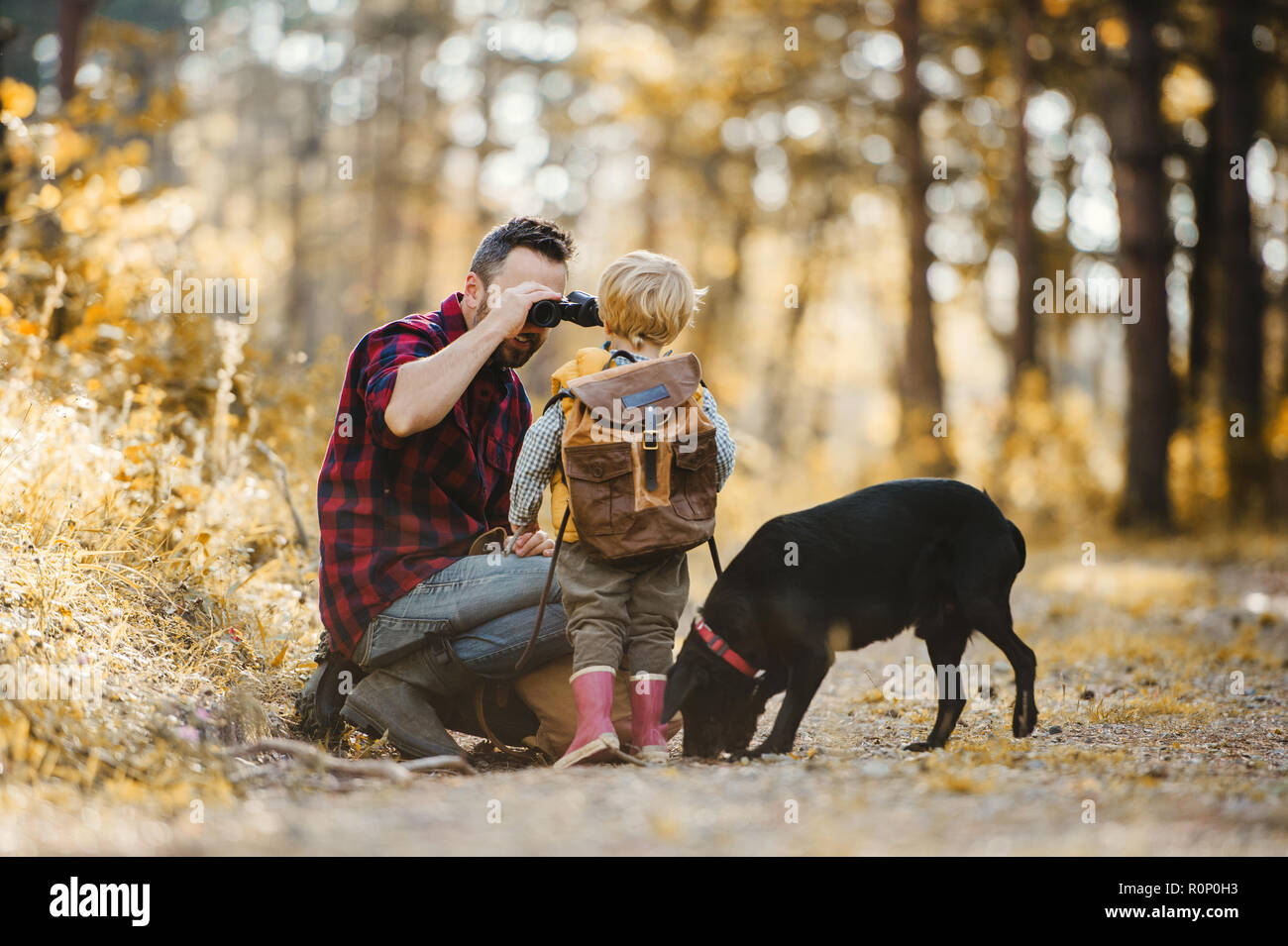 Eine ausgereifte Vater mit einem Hund und ein Kleinkind Sohn in einem Wald, mit Fernglas. Stockfoto